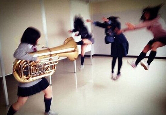 解密百度2015年元旦更新“瑞麗算法”之K站的原因分析