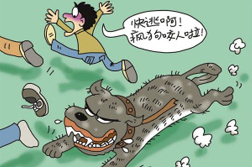 網(wǎng)站收錄在網(wǎng)站優(yōu)化中起到什么作用？