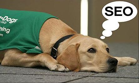 哪些類(lèi)型的改動(dòng)會(huì )影響到網(wǎng)站的seo？