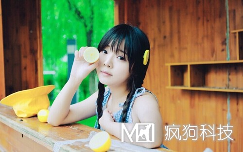 SEO與SEM如何作抉擇？