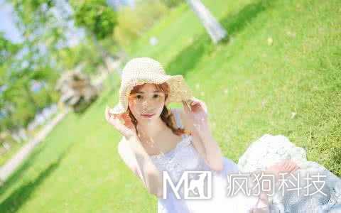 網(wǎng)站SEO優(yōu)化中應該查看哪些數據？