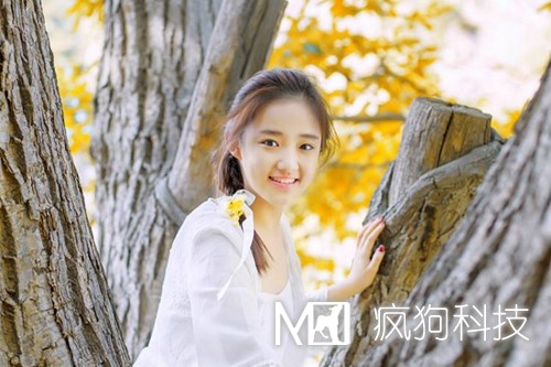 網(wǎng)站優(yōu)化中的死鏈是如何產(chǎn)生的？