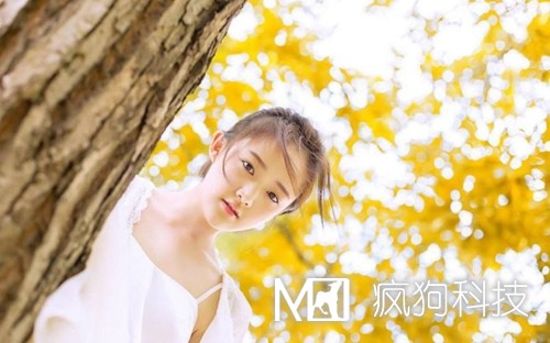 收藏：快速頁(yè)面收錄的六大絕技！